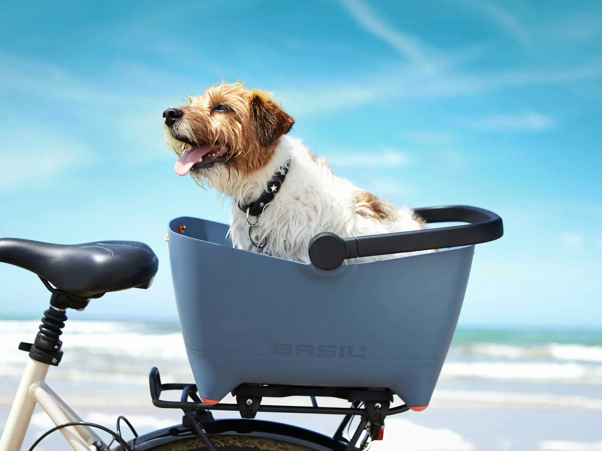 20017-Basil-Buddy-dog-bicycle-basket-blue_6 carlsbad bike accessorites
