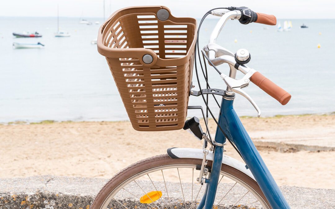 Should You Bring Your Bike to the Beach